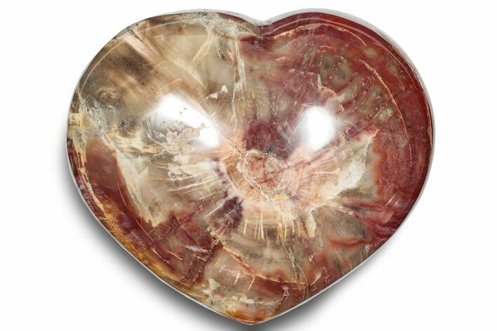 Polished Triassic Petrified Wood Heart - Madagascar #249185